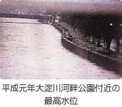 平成元年大淀川河畔公園付近の最高水位